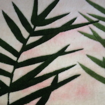 when the dye colours in your rug bleed, it can ruin an expensive piece of art. Thankfully we can repair this problem.